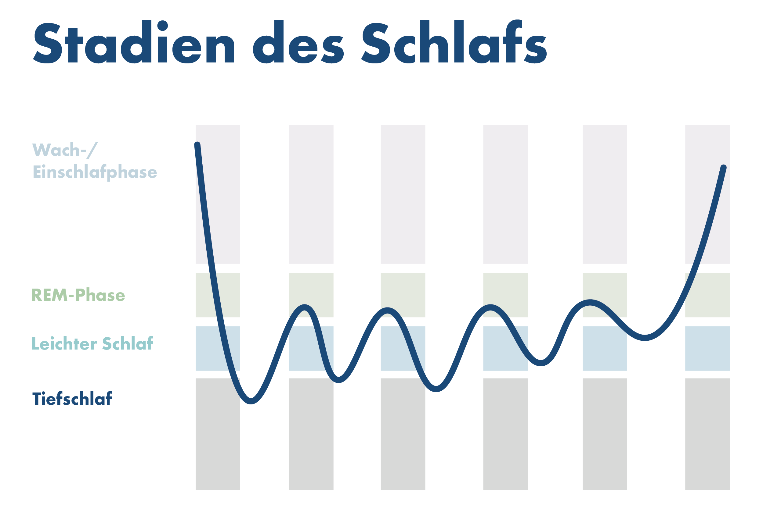 Stadien des gesunden schlafes