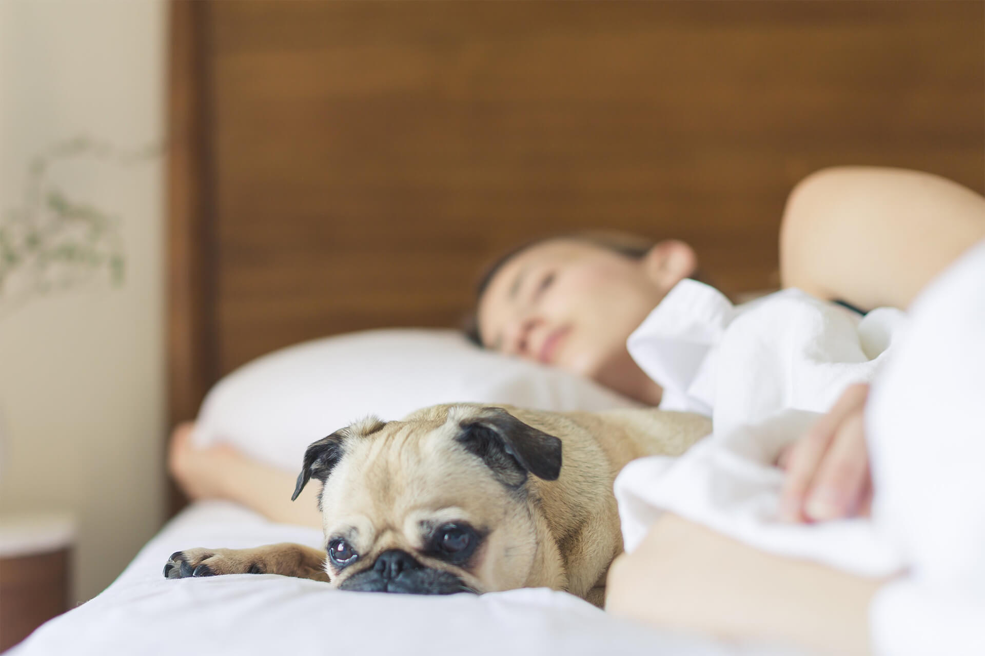 Obstruktive Schlafapnoe (OSA): Ursachen, Symptome und Behandlung